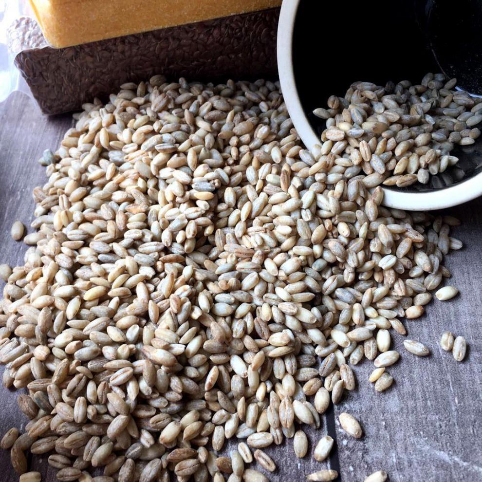 精选青稞米3斤青藏高原青稞米青海特产五谷杂粮新粗粮蓝青稞250克