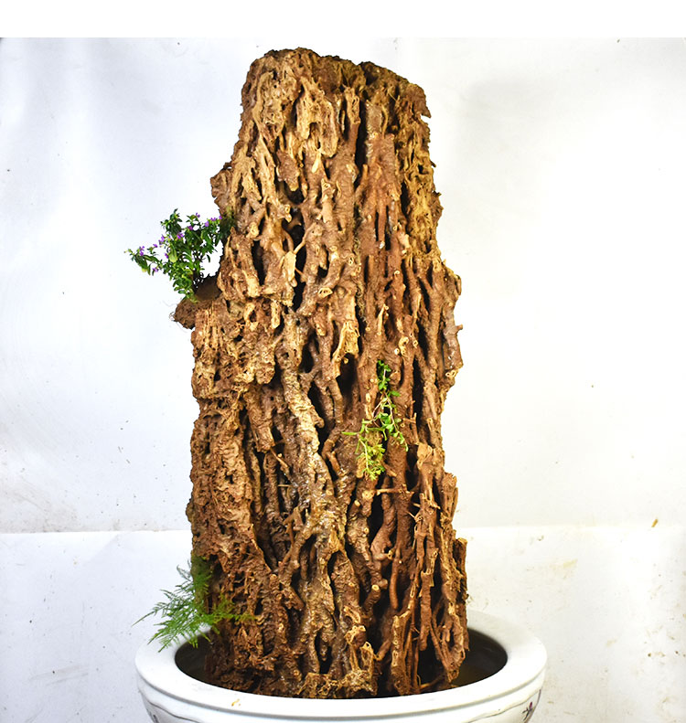 钟乳石摆件芦管石麦管石假山盆景天然上水石原石庭院造景吸水石钟乳石