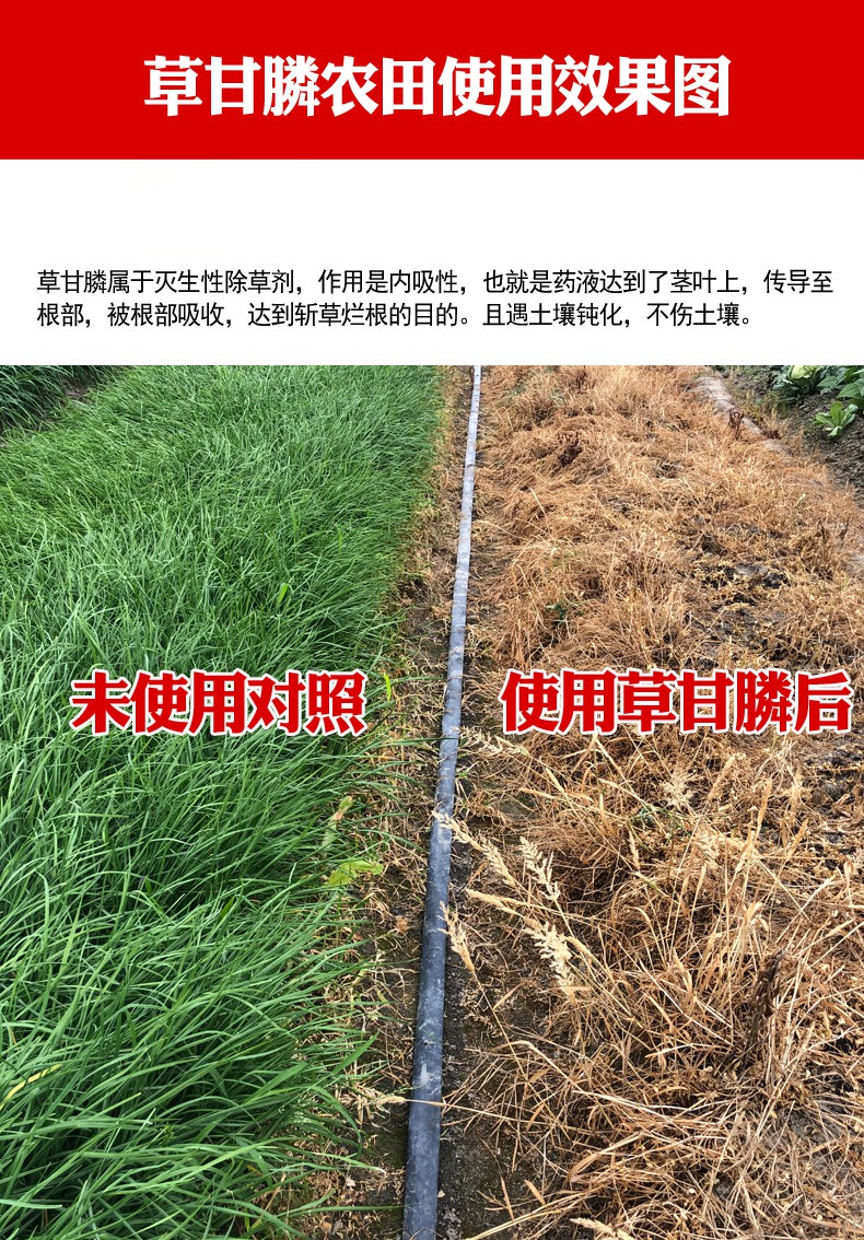 草甘膦异丙胺盐除草神剂剂一扫光除草烂根杂草除烂根剂磷200g2瓶