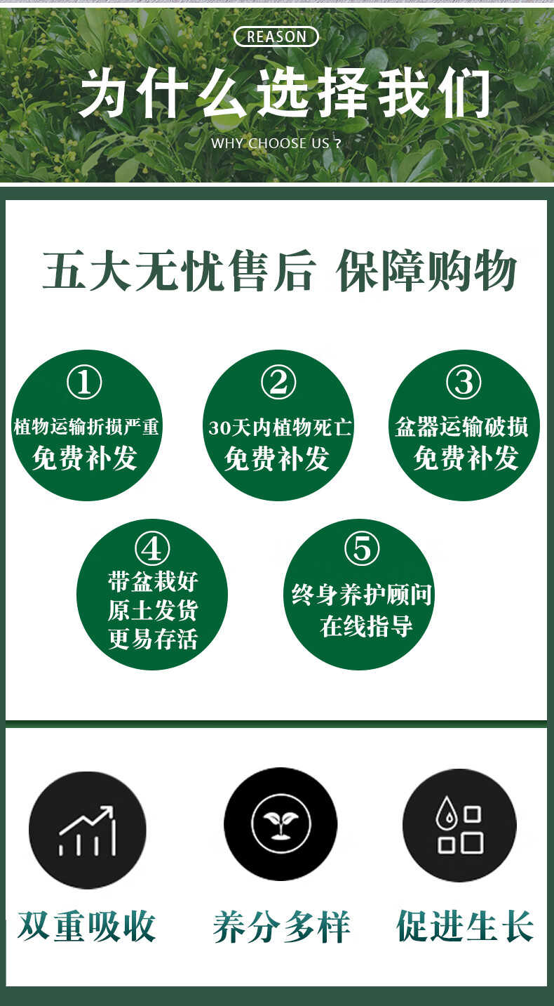 64b5b5cc8f2a2c45.jpg
