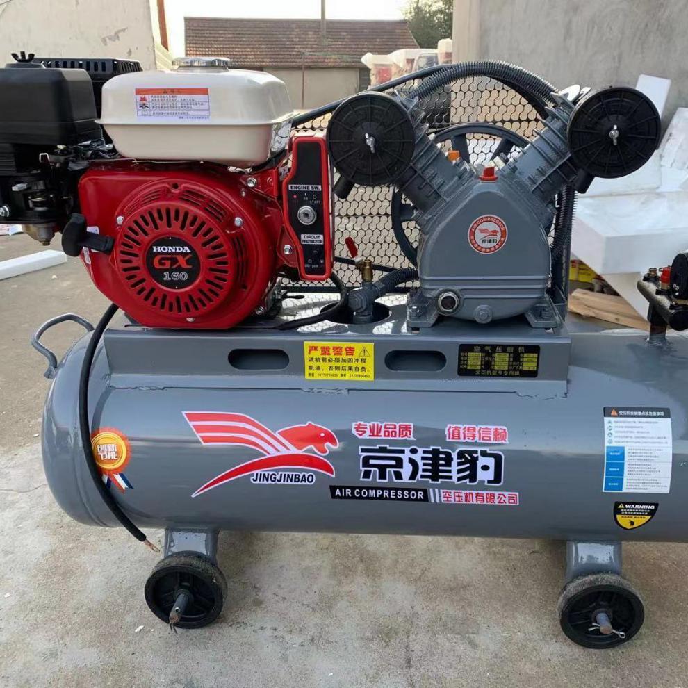 汽油空压机气泵潜水打黄油喷漆修车补胎充气移动供气机车载式气泵 1.