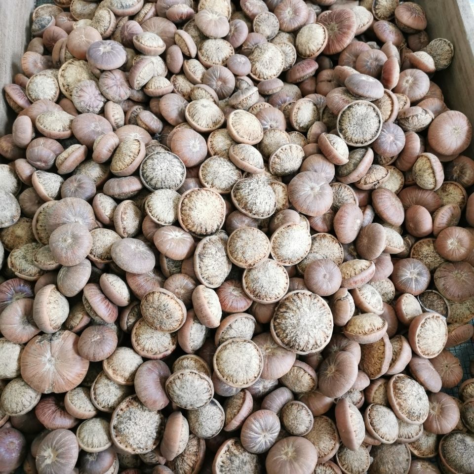 风流果 温肾酒 滋补养生泡酒 风流果 阴阳子双肾子多规格 风流果 阴阳