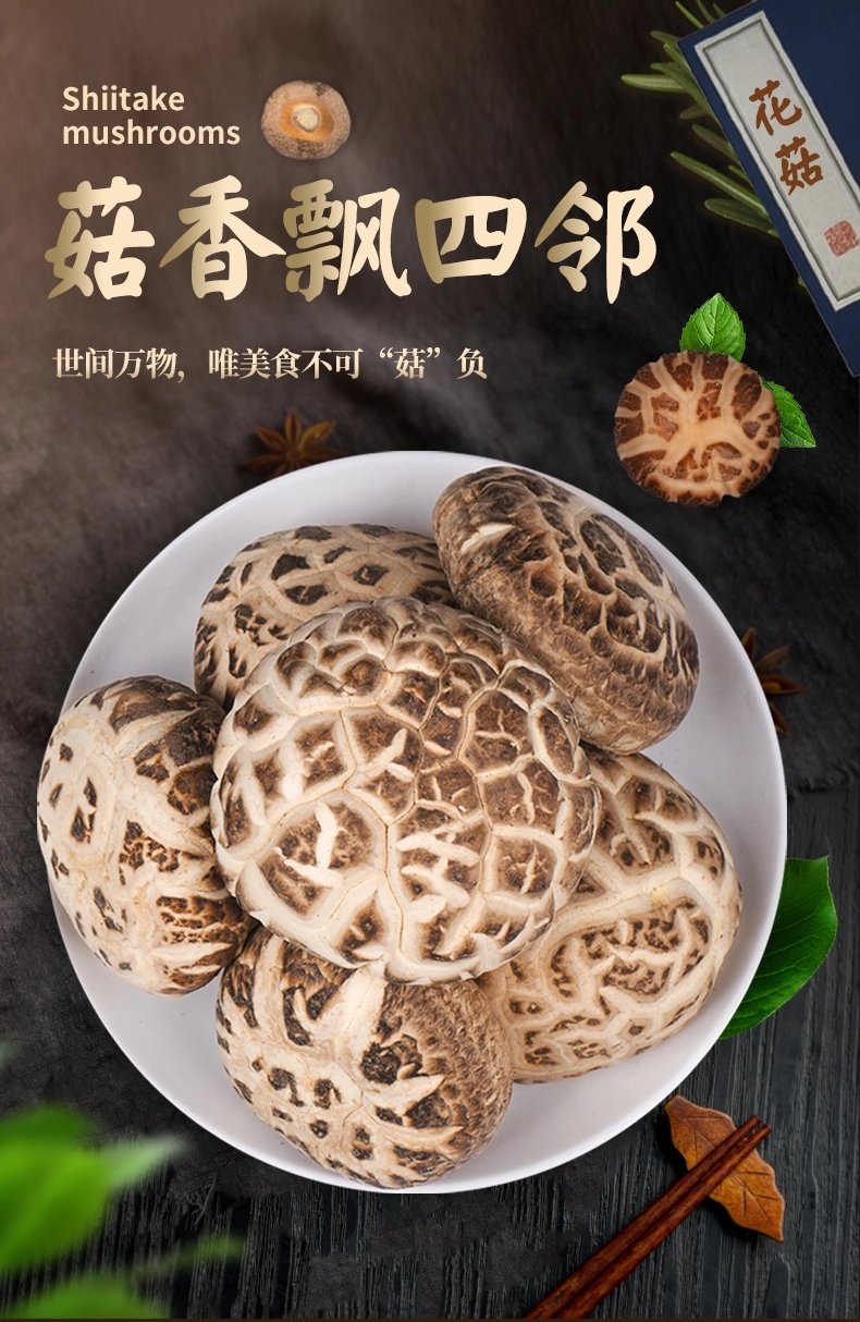 东北特产椴木大花菇干货500g干香菇新货蘑菇散装茹