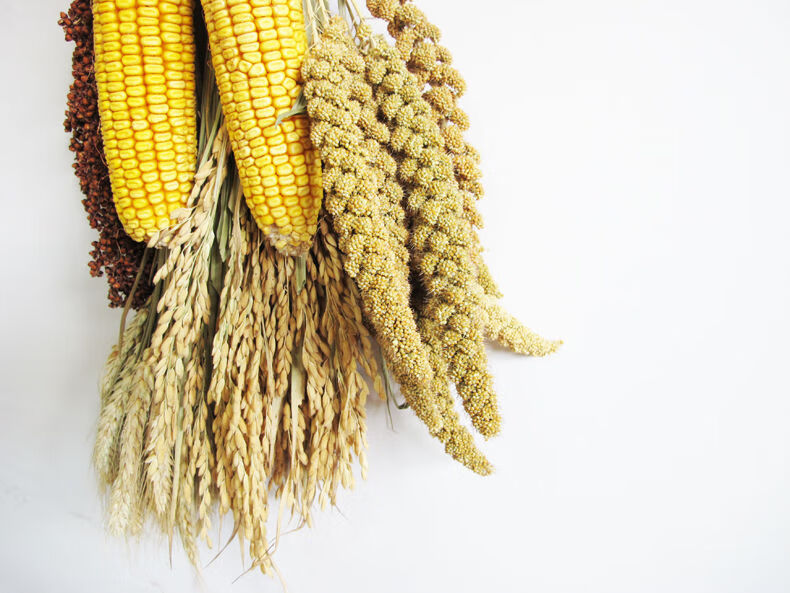 农家院装饰玉米挂件麦穗稻谷农家乐饭店五谷丰登杂粮农作物摆件 五谷