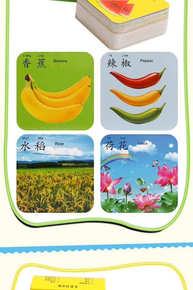 学习识字数学拼音卡片0-3岁宝宝记忆卡早教书学龄前儿童启蒙玩具生日