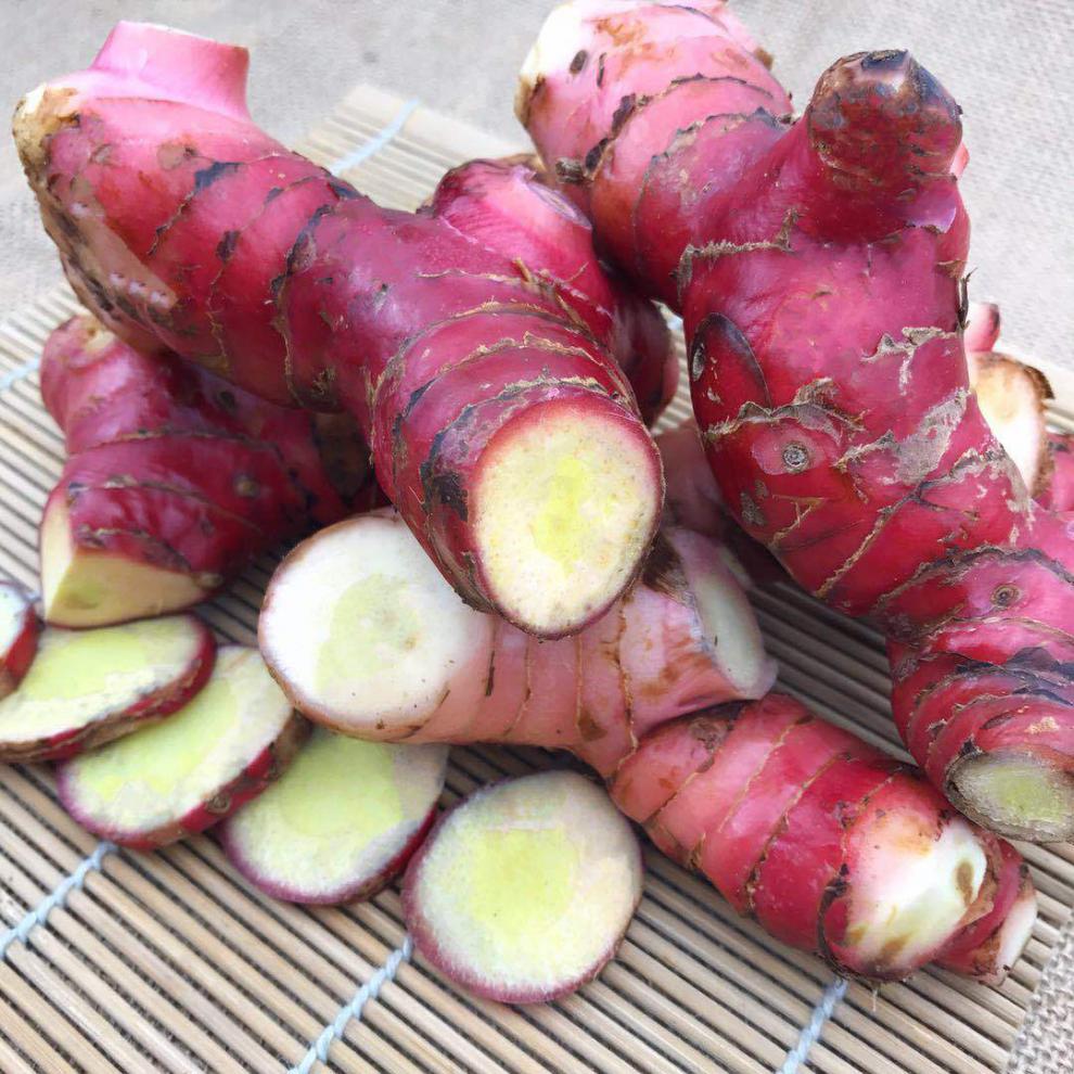 正宗野生南姜山姜高良姜芦苇姜冬阴功汤卤水汤材料15