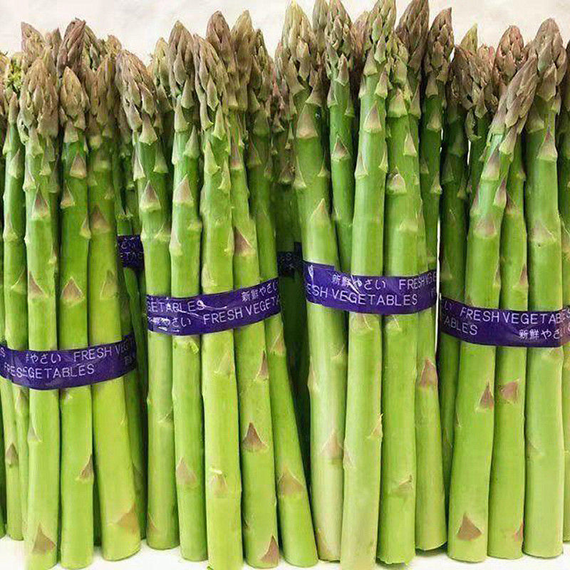 山东曹县新鲜绿芦笋紫芦笋新鲜蔬菜现货芦笋2斤