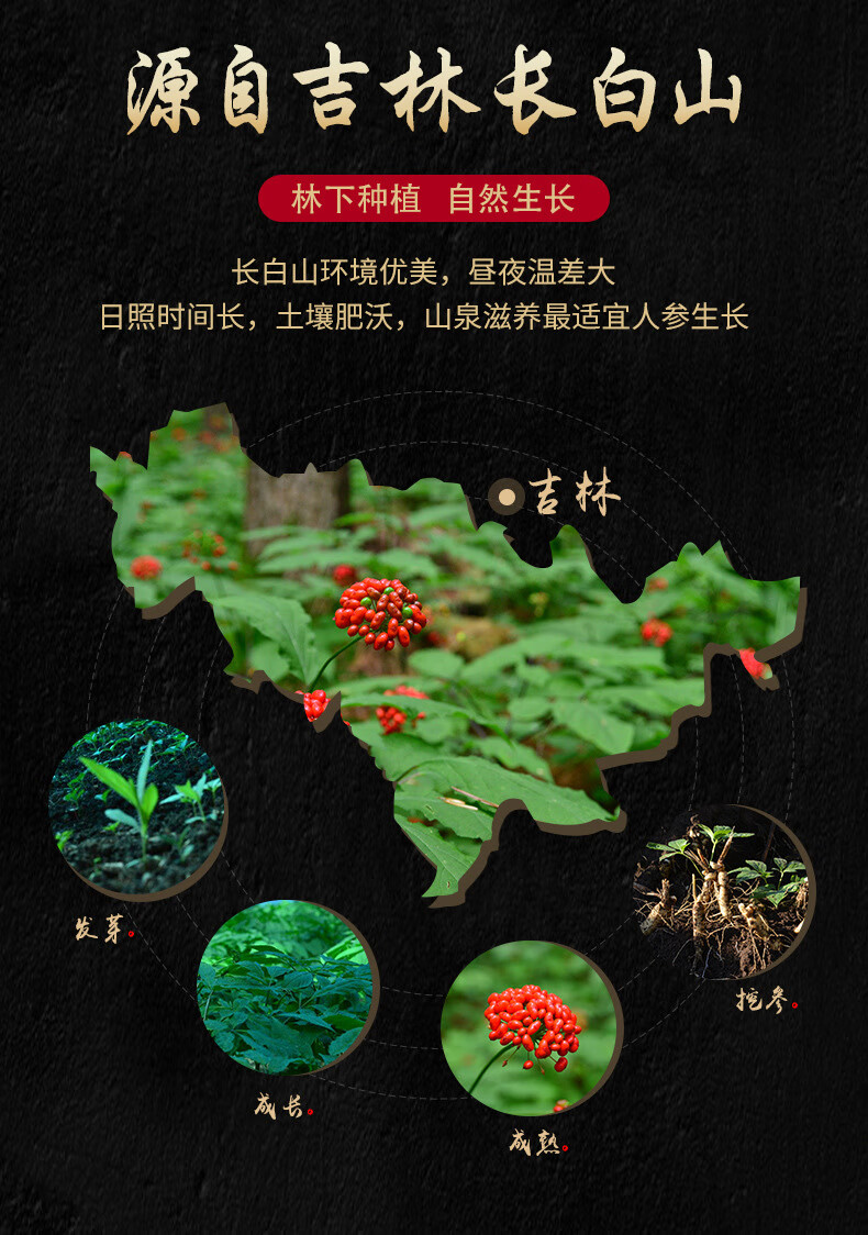 野栋长白山野山参籽货东北林下参野人参22年足年参泡酒山参礼盒装干货