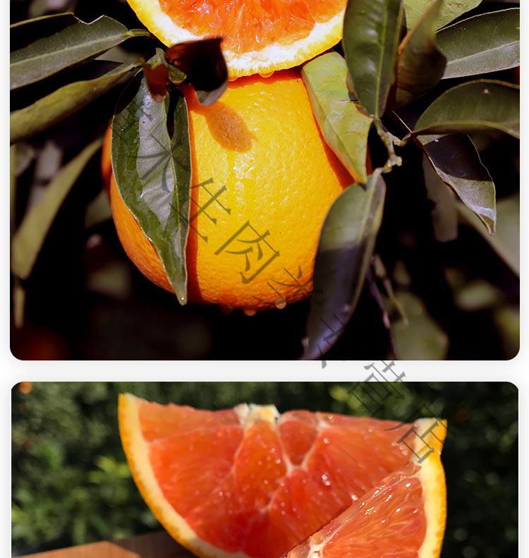 青樱红荔正宗重庆奉节血橙中华红血橙红肉脐橙儿童现货应季新鲜水果4
