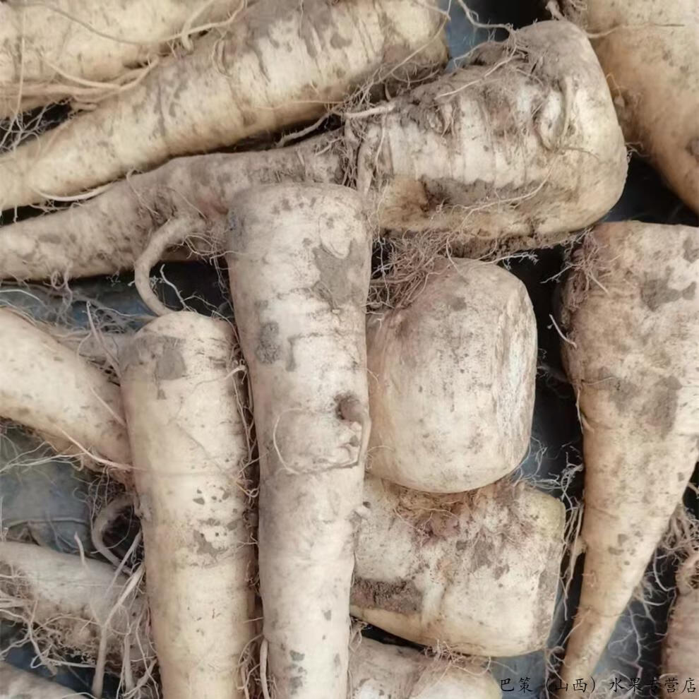 河北产地直销蔓菁猪尾巴芜菁碱性农产品食用甜面软钻地根500g