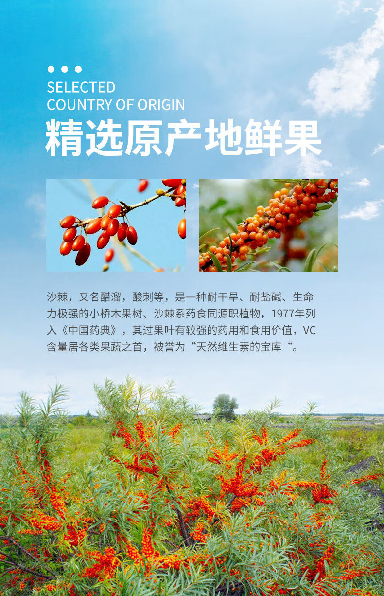 沙棘汁饮料果汁整箱批发高颜值网红饮料新疆沙棘夏季解暑超值15瓶沙棘