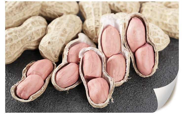 2021年新晒粉皮干花生带壳生花生农家自种新鲜白沙果5斤带壳生花生5斤