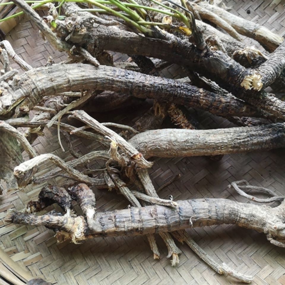 康中尊 贵州野外生岩川芎根干货500克 中药原材料岩防风野川芎光头