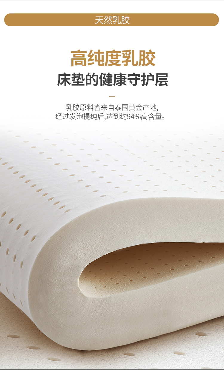 星港床垫椰棕床垫席梦思弹簧床垫20cm厚软硬两用经济1.5米1.