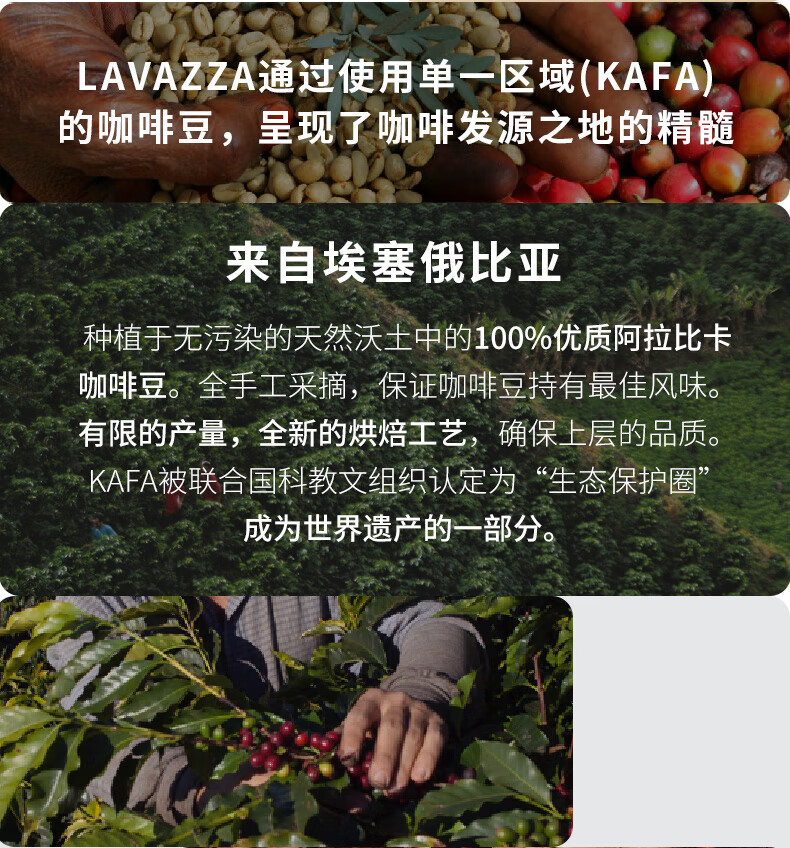 lavazza拉瓦萨 卡法森林埃塞俄比亚单品咖啡豆500g精品阿拉比卡豆