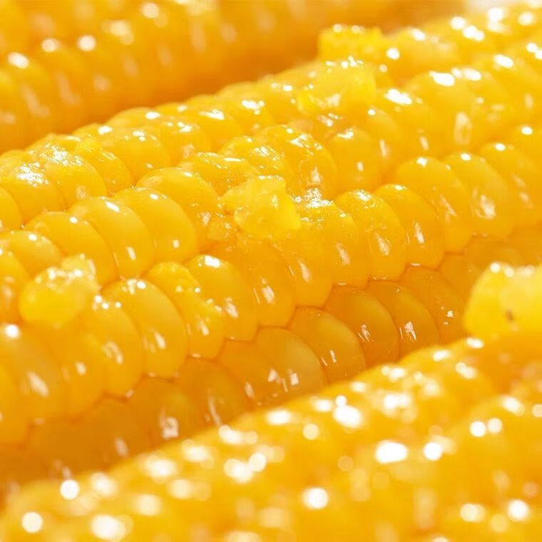 新鲜东北甜糯黄玉米棒黏玉米香甜可口速冻黏苞米300g以上大棒黄糯10棒