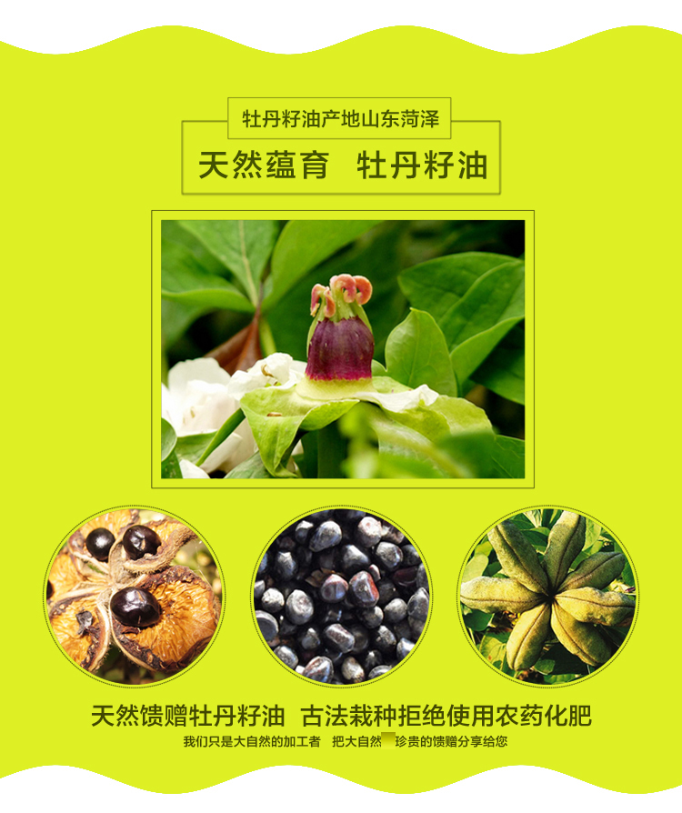 菏泽特产纯牡丹籽油冷榨植物油护肤食用牡丹油275ml2瓶礼盒装