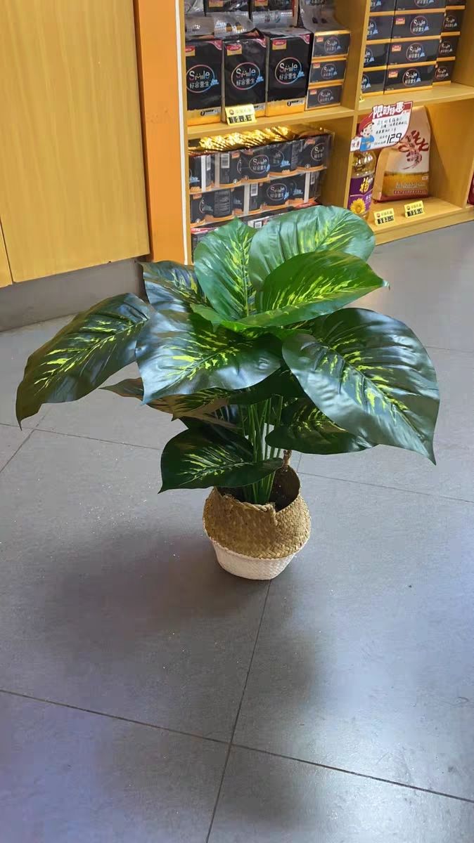 大型北欧仿真植物假盆栽旅人蕉摆件绿植室内客厅花装饰龟背70cm龟背18