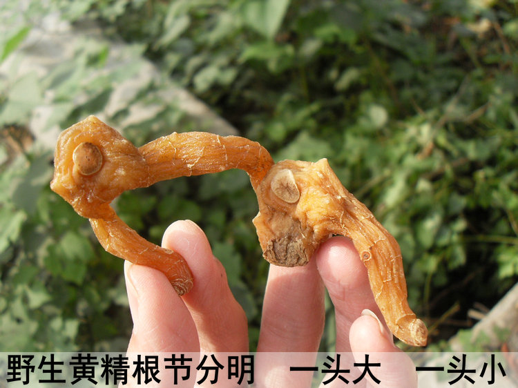 野生鸡头黄精500g可泡茶泡酒九蒸九晒黄精干货