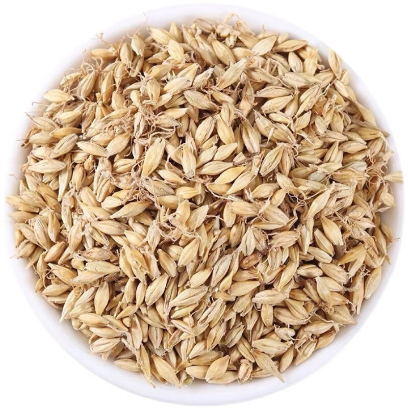 中药材麦芽 谷芽 稻芽 今年新货 天然无硫 炒麦芽500克【图片 价格