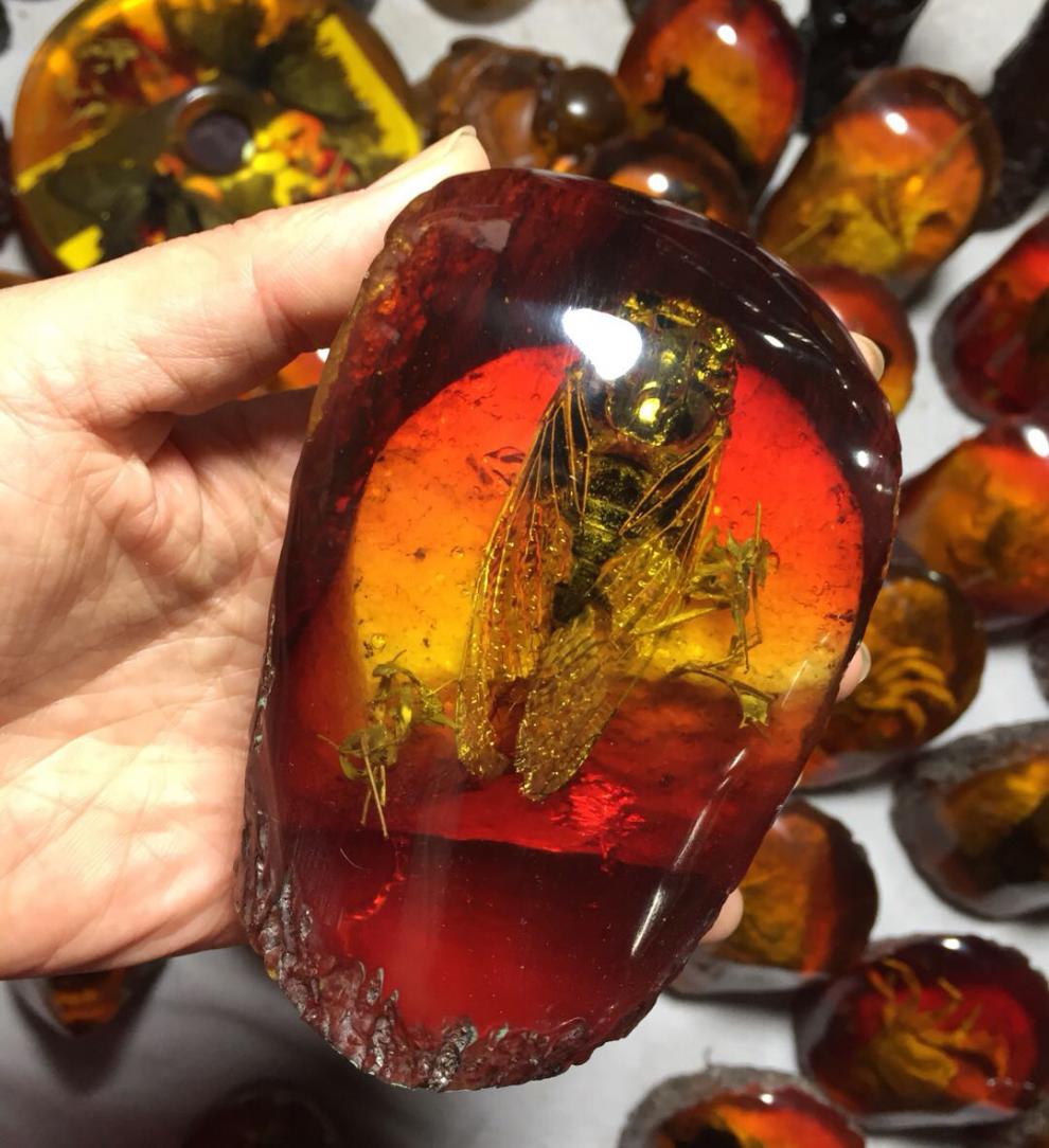 昆虫标本人工琥珀蜜蜡原石真昆虫标本摆件螃蟹知了蝎子蝴蝶学生创意