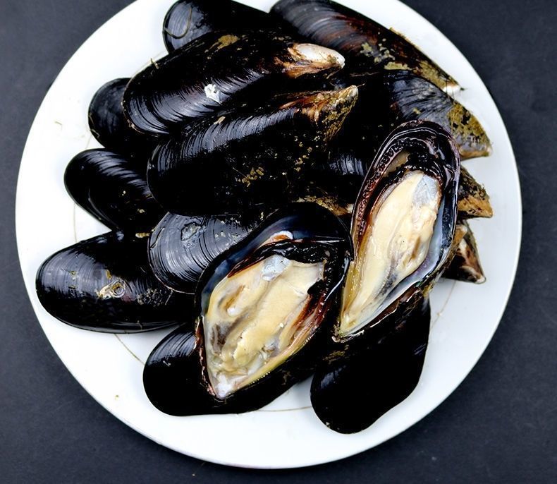 当天捕捞鲜活新鲜无沙大海虹贻贝青口贝当季鲜活淡菜冷链1斤装