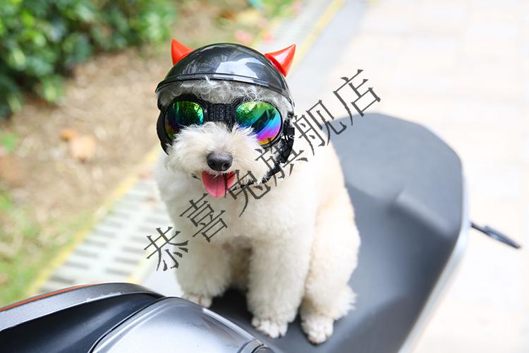 【保价双11】狗头盔宠物机车帽猫咪帽子安全帽摩托帽竹蜻蜓搞怪摩托车