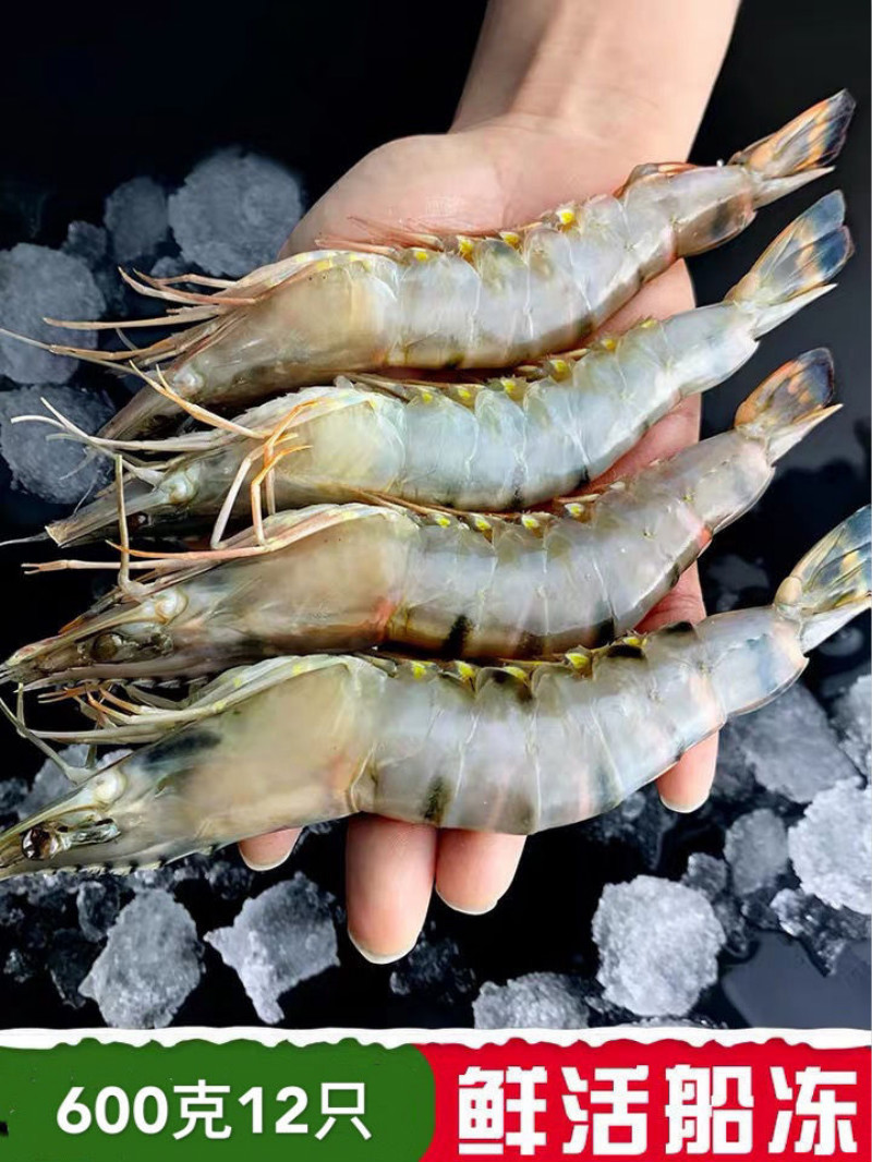 魃鲜特大号黑虎虾深海大虾每只20厘米12只装600克1盒600克
