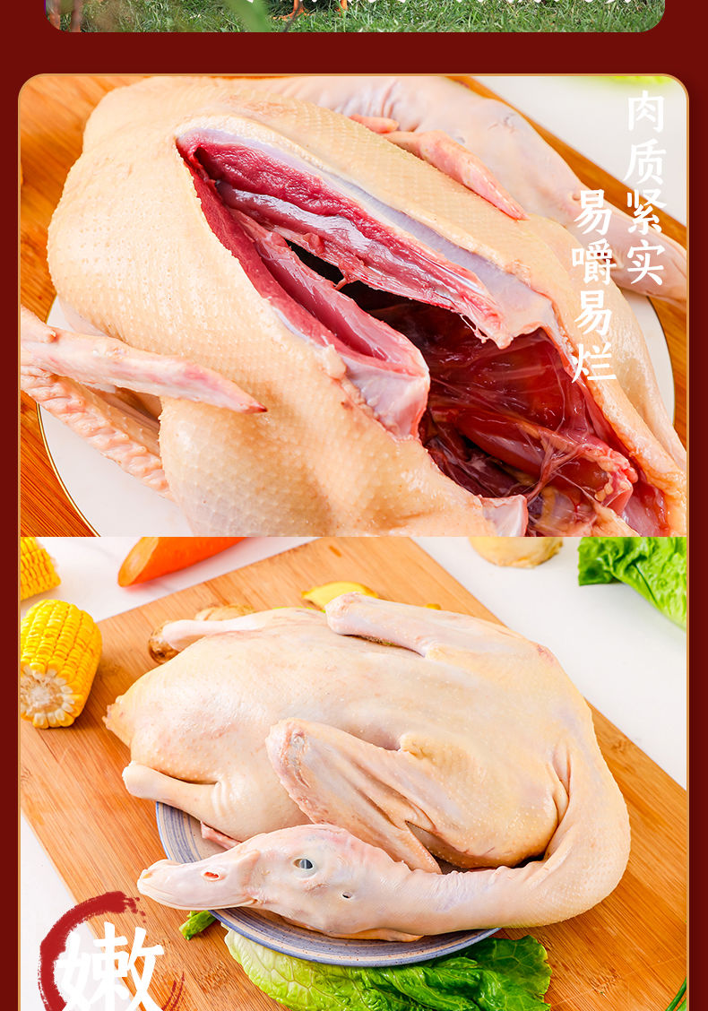 散养精品土鸭子老鸭大别山生态老麻鸭新鲜现杀煲汤鸭货冰鲜大别山生态