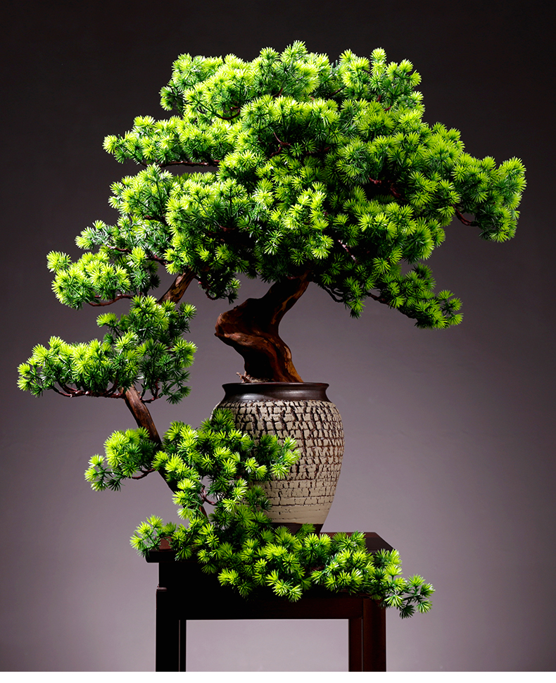 春风先生 轻奢高端大型客厅仿真迎客松盆景玄关植物盆栽室内桌面绿植