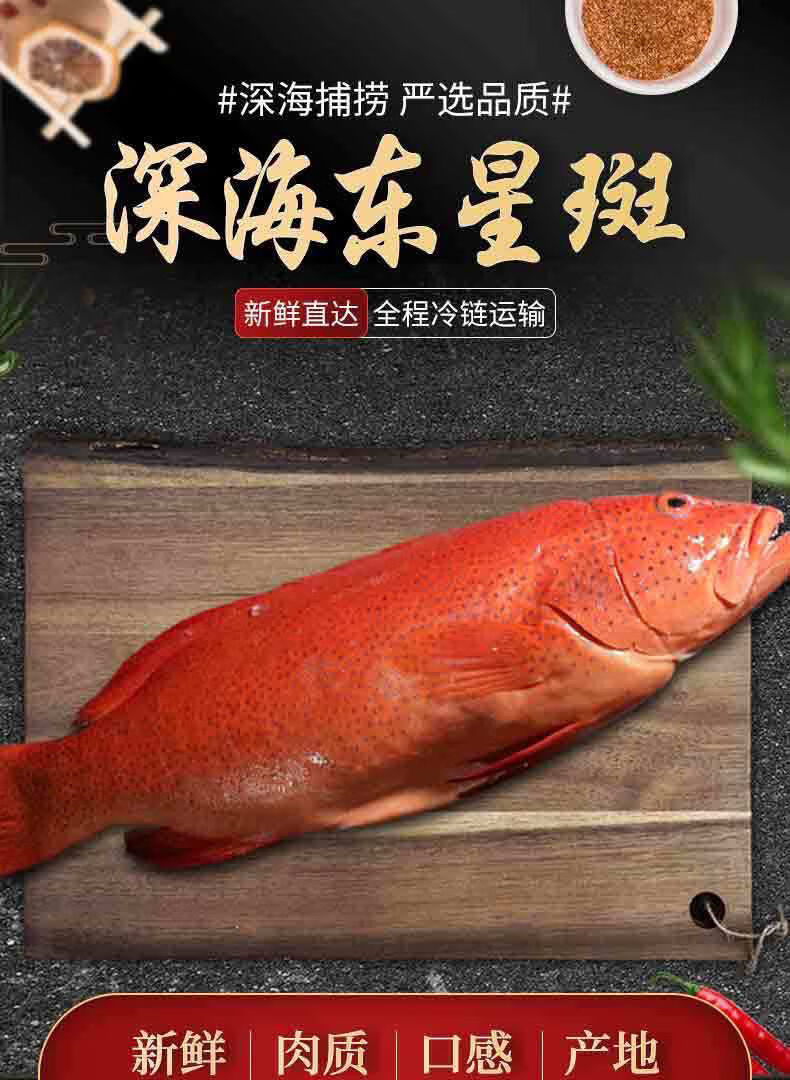 石斑鱼鲜鱼深海鱼海鲜水产整条石斑鱼 600g-700g(一条装)【图片 价格