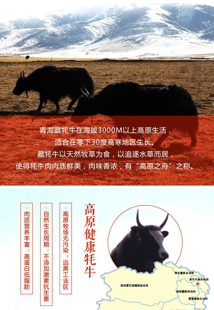 牦牛肉图片宣传海报图片