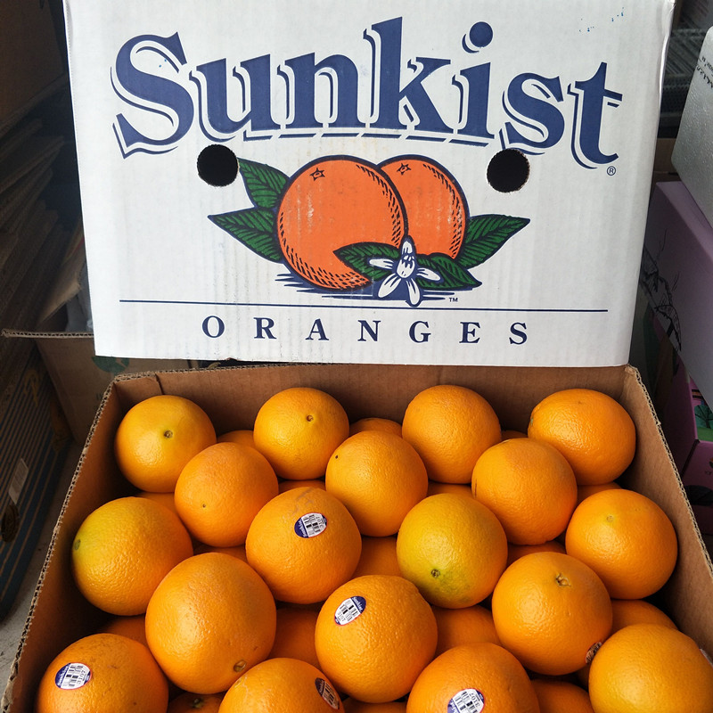 适用于美国新奇士黑标3107脐橙大果9-10个sunkist橙子新鲜孕妇水果
