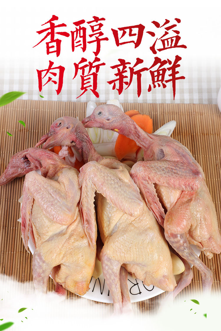 新鲜鸽子肉乳鸽特大炖汤农家散养土鸽子活体现杀400克500克广纳力驰1