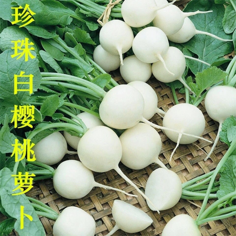 白珍珠樱桃萝卜种子散装3包 送香菜子【图片 价格 品牌 报价】-京东