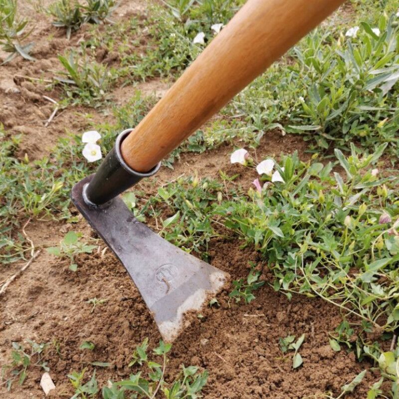2022新 款挖土 家用扁锄 农具全钢加厚种菜开荒两用老式板锄小锄头锐