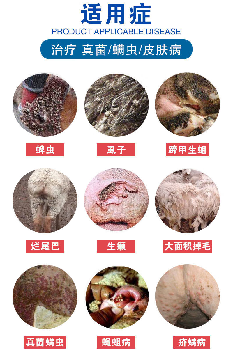 兽药兽用阿维菌素透皮溶液驱虫药牛猫狗蜱虫螨虫虱子跳蚤母猪打虫药外