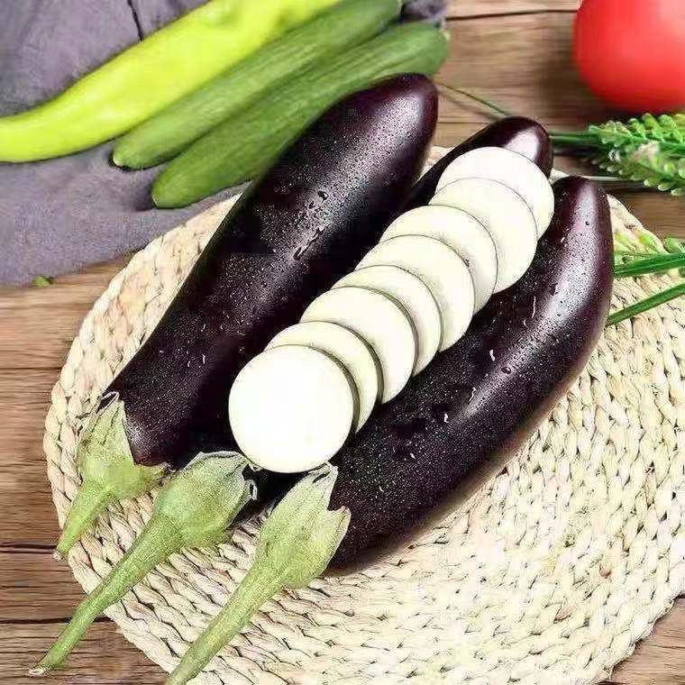 媚调 长茄子不会打狙茄子农家自种长线大茄子黑嫩现摘蔬菜 长茄4斤