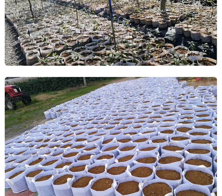 无纺布植物种植袋特大加厚植树袋花盆袋白色营养钵育苗袋虎雀3030双提