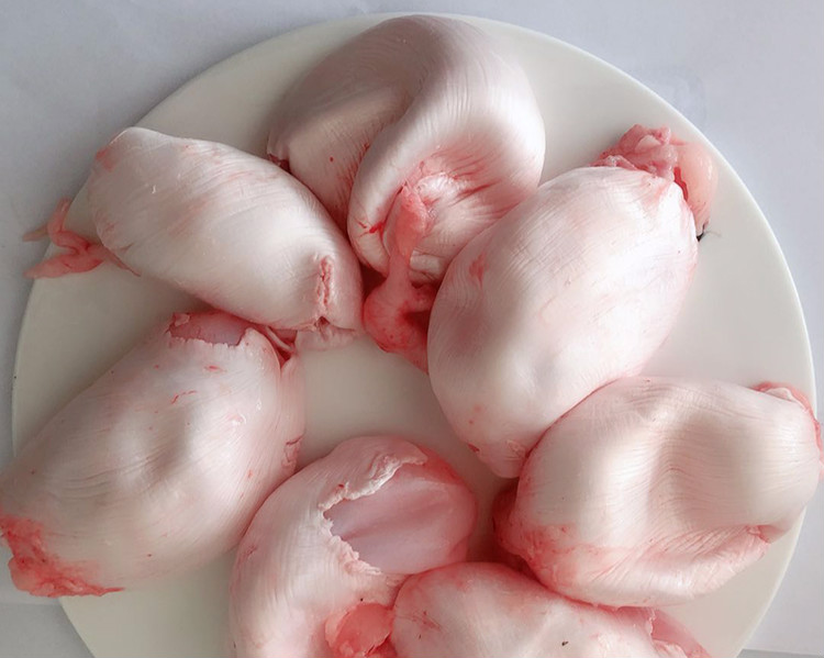 大鱼泡新鲜胖头鱼泡鲢鱼泡鱼鳔鱼肚鱼杂活鱼现杀取泡水产1000克过年