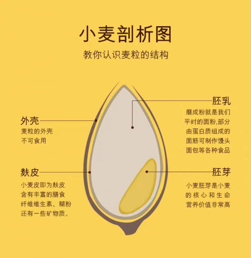 新疆面粉仓麦园特一粉小麦粉拉面拌面馒头饺子蛋糕面包烘焙中高筋