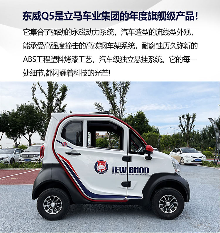 新款东威q5四轮电动车成人锂电池全封闭代步新能源汽车小型手把式手