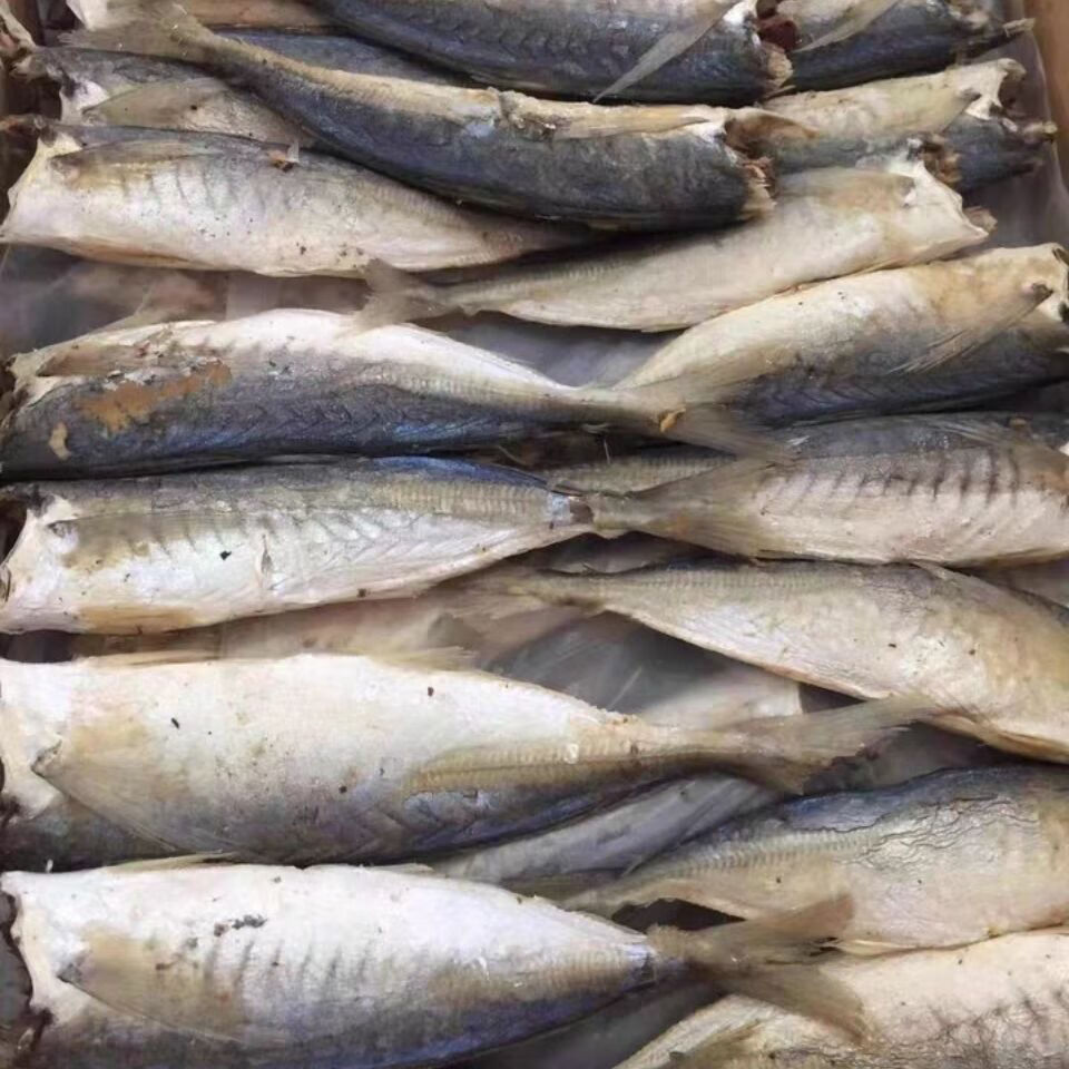 海鲜巴浪鱼鱼干海鱼巴浪鱼熟咸鱼干小咸鱼福建省泉州巴浪鱼干 1斤