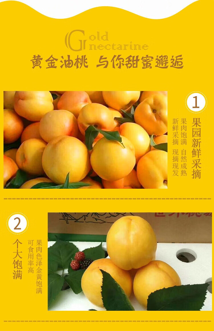山东蒙阴新鲜黄金油桃 黄油桃 蜜桃桃子 新鲜水果 黄油桃5斤精选果(4.