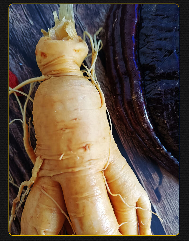 参龄18年长白山特大人参王东北特产送枸杞泡酒煲汤新鲜4年参毛重30克