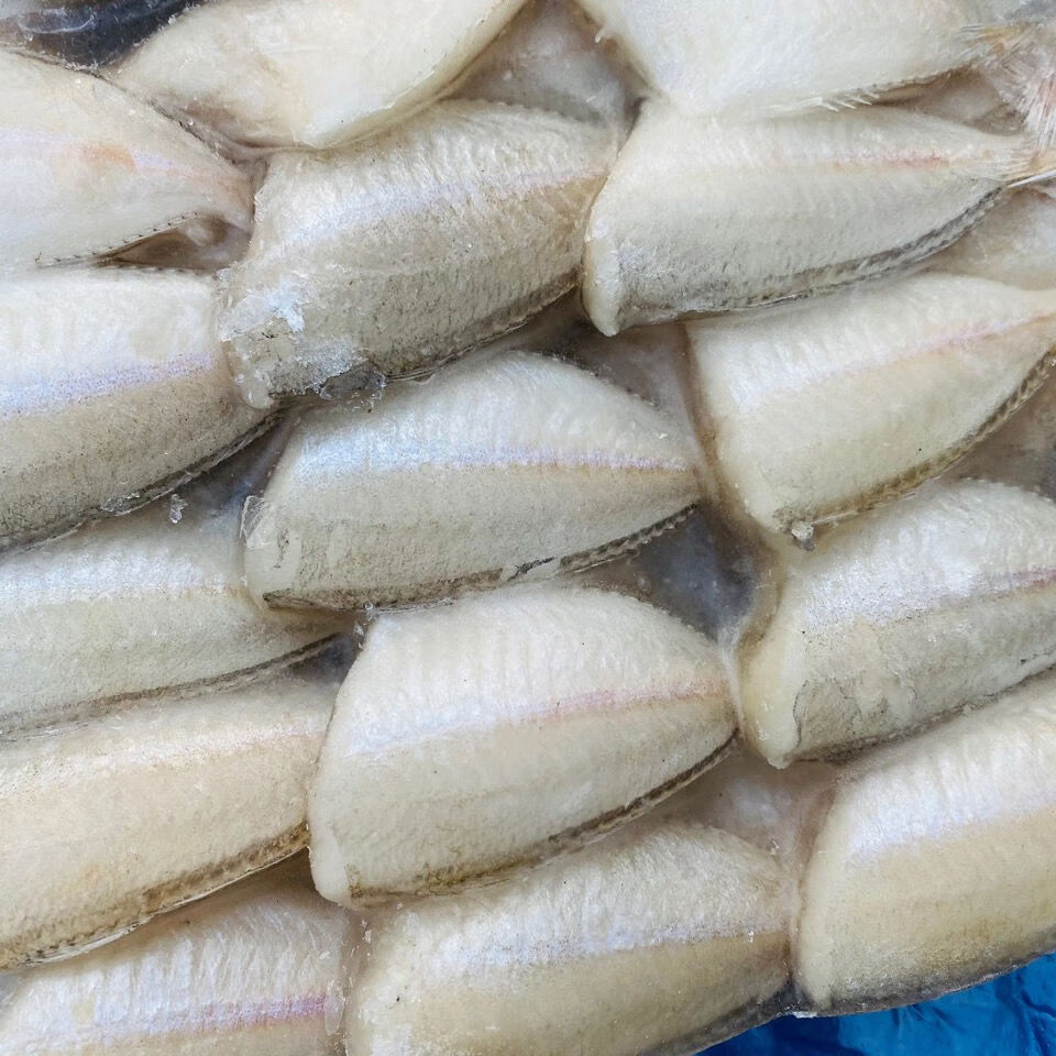 新鲜冷品小耗儿鱼玻璃鱼马面鱼无头鱼扒皮鱼包冰2斤新鲜顺丰火红芬芳1