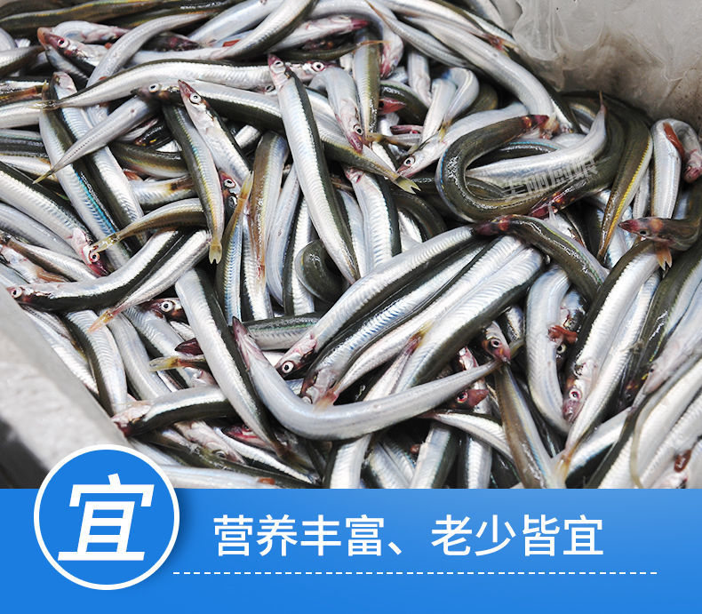 青岛特产面条鱼鲜活新鲜冷冻海鱼海鲜沙丁鱼小青鱼小银鱼玉筋鱼禧客鲜