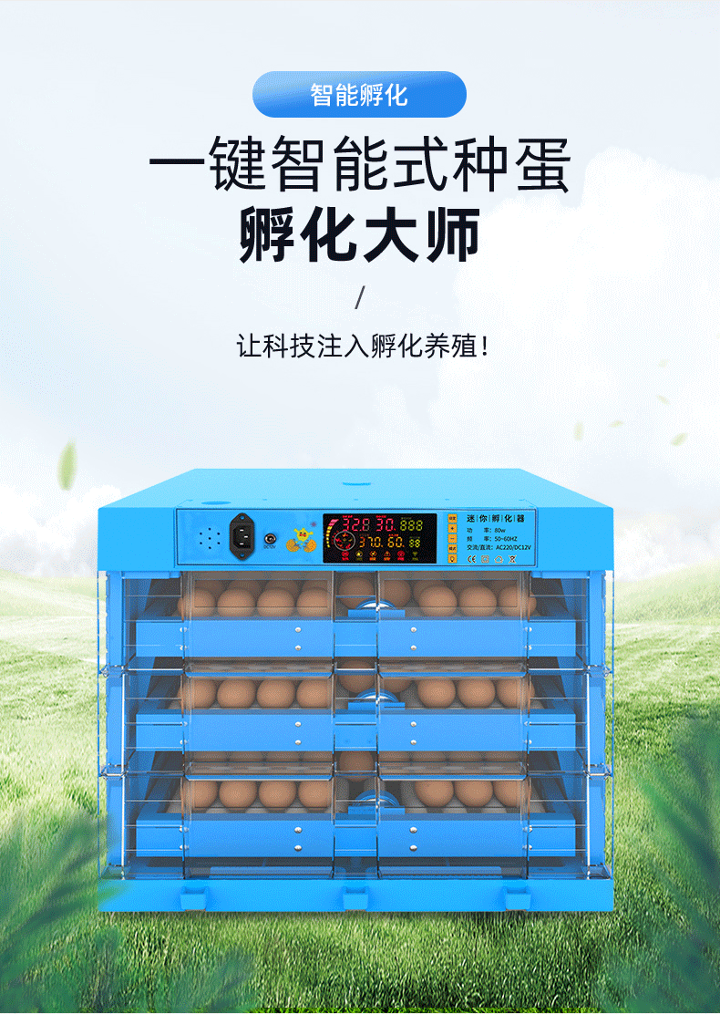 定制孵蛋器孵化机孵化器小型家用型小鸡的机器鹦鹉可孵化箱6枚双电