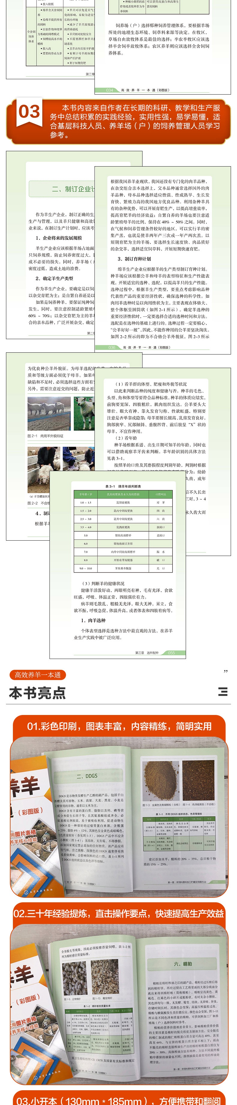 d7a071f89d26ec15.jpg