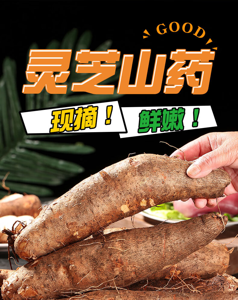新鲜软糯云南灵芝山药蔬菜5斤非淮山小白嘴铁棍山药紫秤砣麻山药3